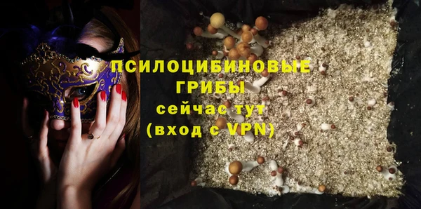 кокс Арсеньев