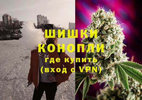 кокс Арсеньев