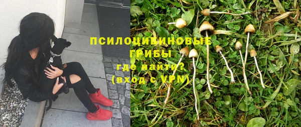 амф Балабаново