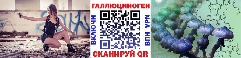 наркотики  Зверево  мега как войти  Псилоцибиновые грибы Psilocybe 
